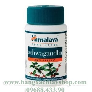 New0019himalaya-ashwagandha-hangxachtayshop New0019himalaya-ashwagandha-hangxachtayshop