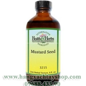 alternative-health-&-herbs-remedies-mustard-seed-hangxachtayshop