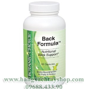 botanic-choice-back-ache-relief-formula-hangxachtayshop