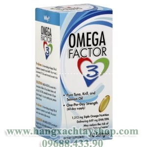 focus-factor-omega-factor-3