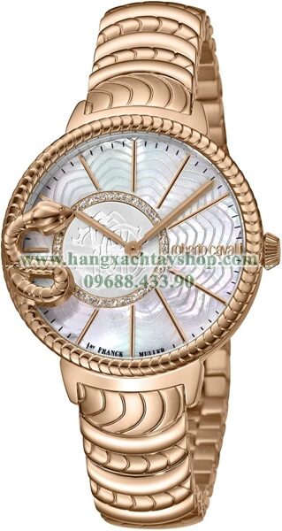 ROBERTO CAVALLI RV2L022M0046 RC-74 Swiss Quartz-hangxachtayshop(1)